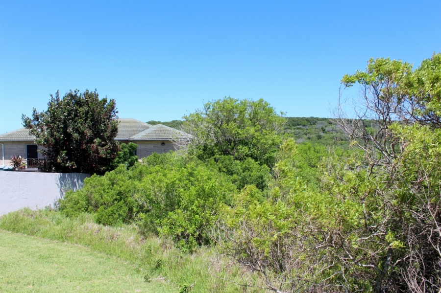 0 Bedroom Property for Sale in Forest Downs Eastern Cape